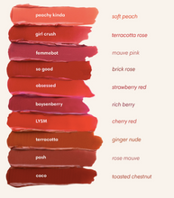 Load image into Gallery viewer, Lip Dip in Terracotta - Beflaire
